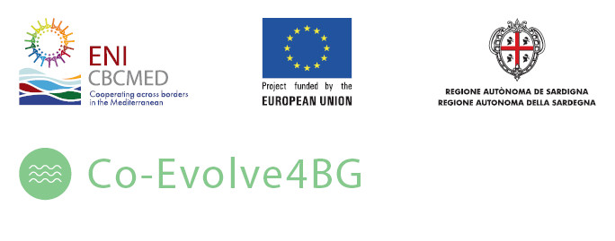Co-Evolve4BG logo